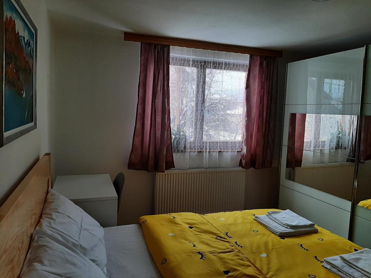 Aleksandar Apartmani 帕莱 外观 照片
