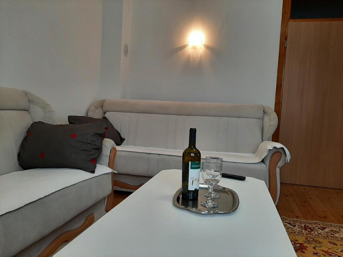 Aleksandar Apartmani 帕莱 外观 照片