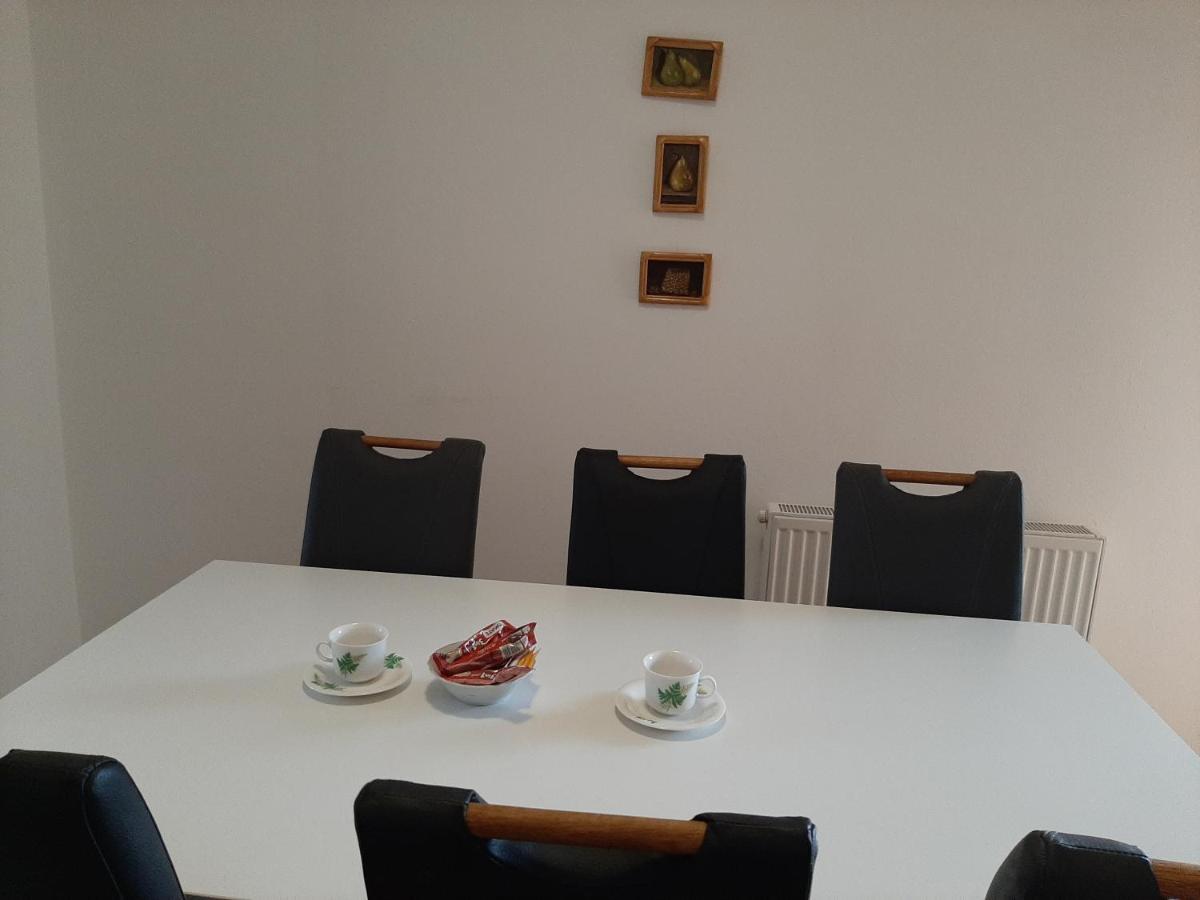 Aleksandar Apartmani 帕莱 外观 照片
