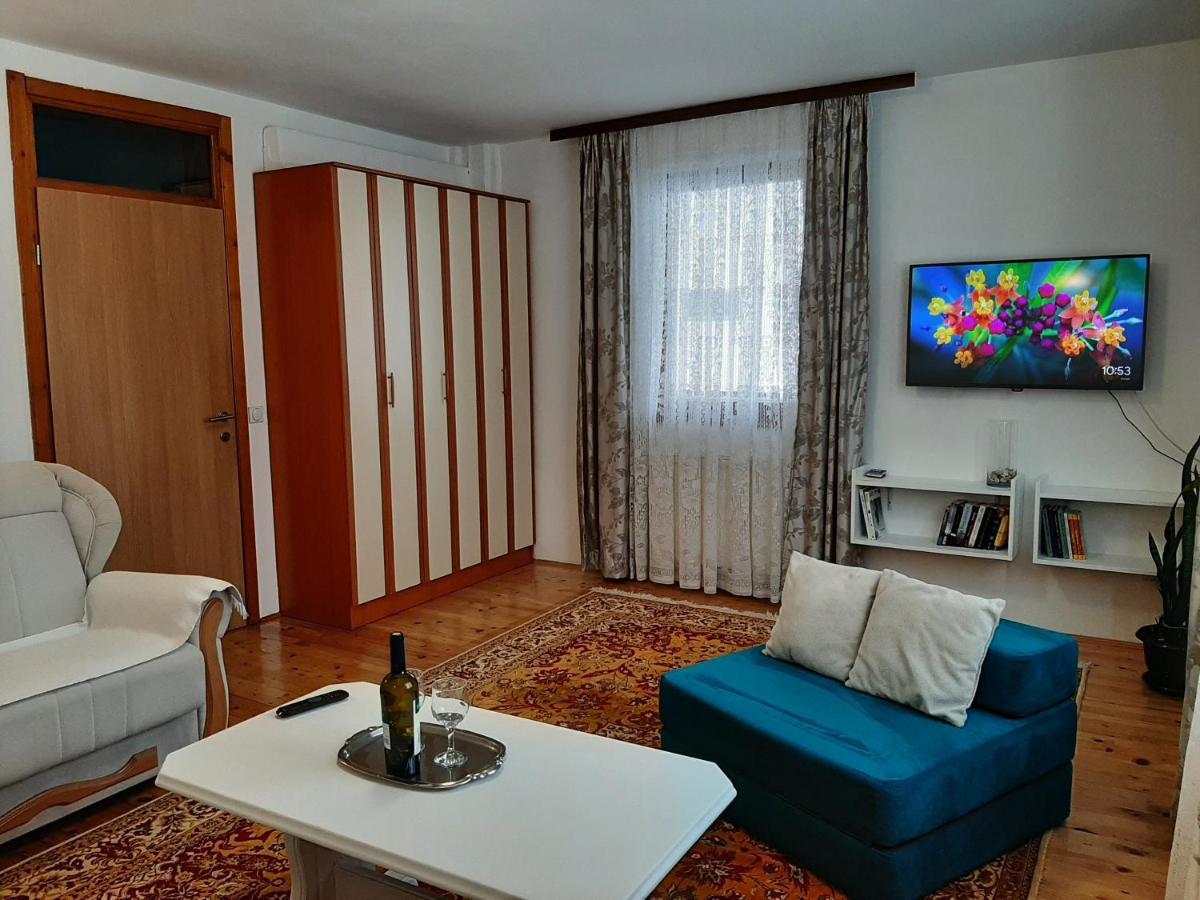 Aleksandar Apartmani 帕莱 外观 照片