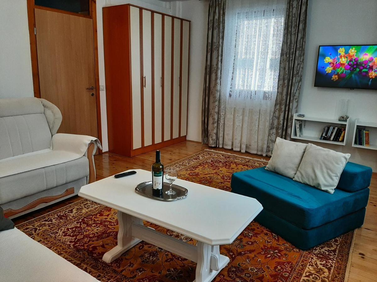Aleksandar Apartmani 帕莱 外观 照片