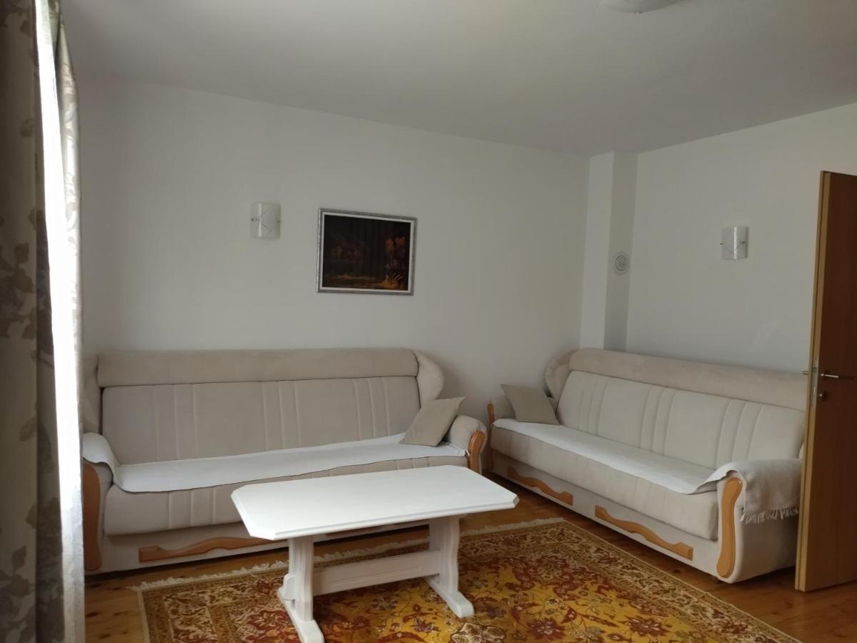 Aleksandar Apartmani 帕莱 外观 照片