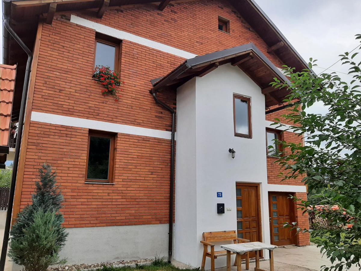 Aleksandar Apartmani 帕莱 外观 照片